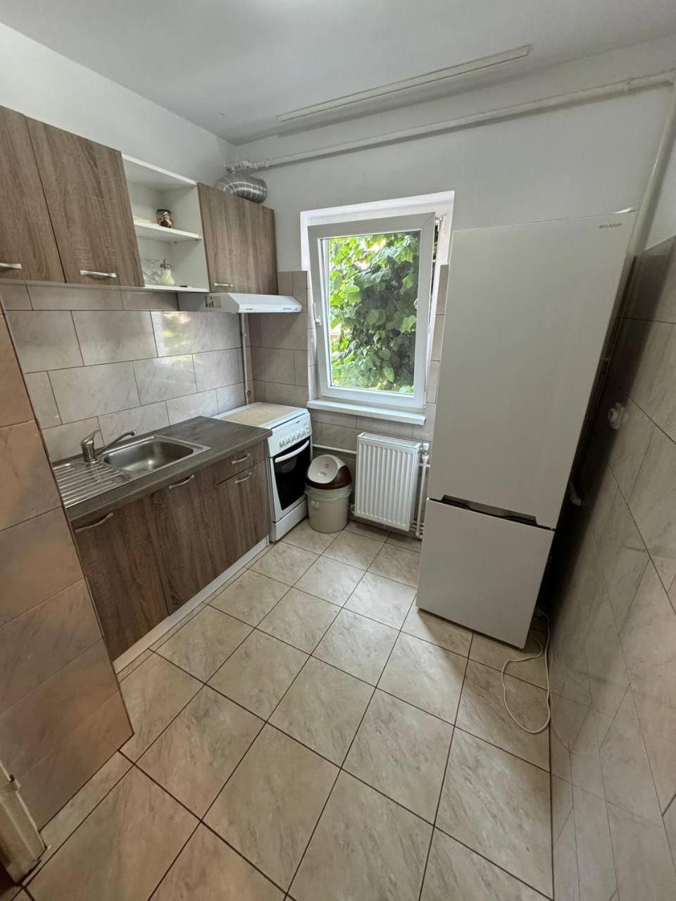 Affordable Apartment Close To The Castle Hunedoara Exterior foto