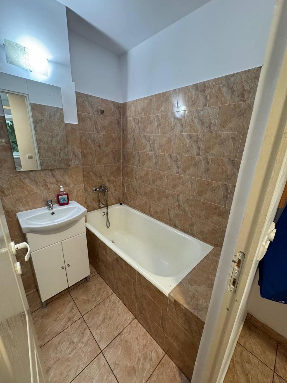 Affordable Apartment Close To The Castle Hunedoara Exterior foto